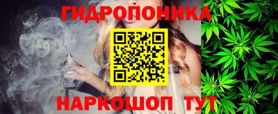 МДПВ Можга