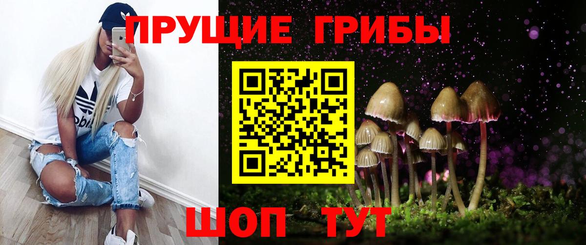 Пугачёв  Псилоцибиновые грибы Psilocybe  Псилоцибиновые грибы мицелий  Вход с VPN 